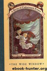Lemony Snicket by A Series of Unfortunate Events 3- The Wide Window