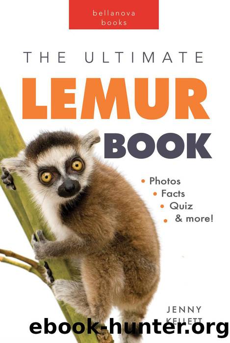 Lemurs the Ultimate Lemur Book by Jenny Kellett