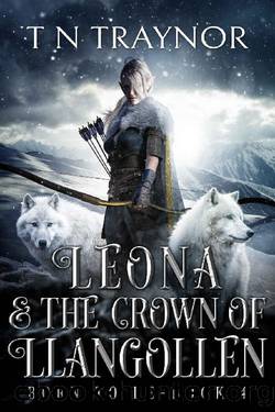 Leona & the Crown of Llangollen: Epic Fantasy Adventure by T N Traynor