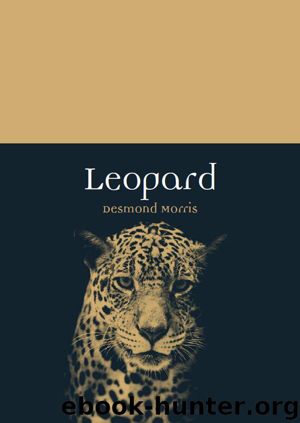 Leopard by Desmond Morris