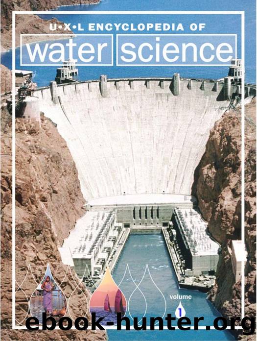 Lerner by Encyclopedia of Water Science (2005)