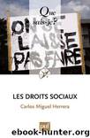 Les droits sociaux by Herrera Carlos Miguel