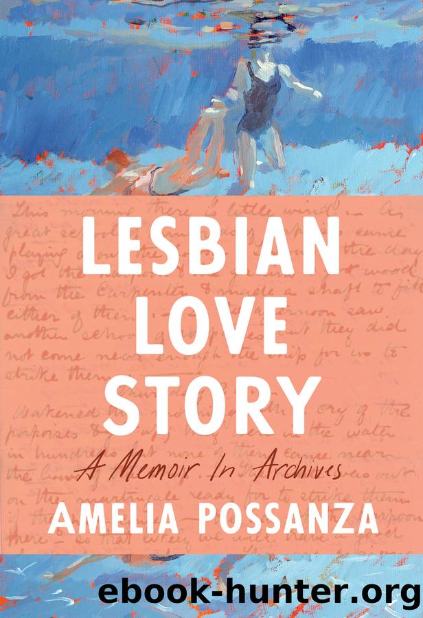 Lesbian Love Story by Amelia Possanza