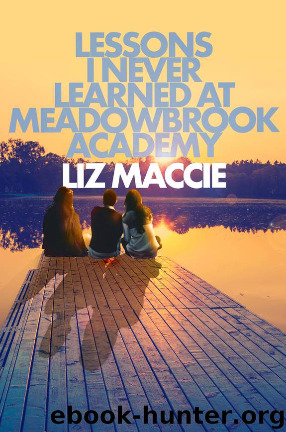 Lessons I Never Learned at Meadowbrook Academy by Liz Maccie