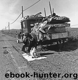 Lessons from the Great Depression for Dummies (ISBN by 0470487488)