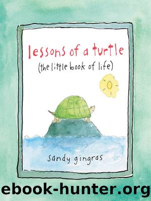 Lessons of a Turtle by Sandy Gingras