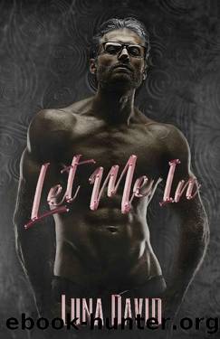 Let Me In (The Boys Club Book 1) by Luna David