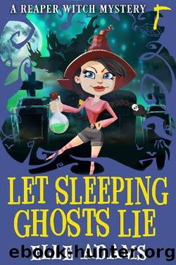 Let Sleeping Ghosts Lie by Elle Adams