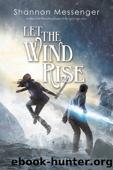 Let The Wind Rise (Sky Fall, #3) by Shannon Messenger