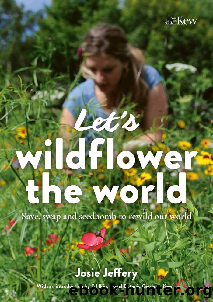 Let's Wildflower the World by Josie Jeffery