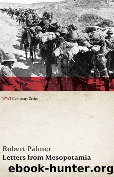 Letters from Mesopotamia - In 1915 and January, 1916, from Robert Palmer, who was Killed in the Battle of Um El Hannah, June 21, 1916 Aged 27 Years (WWI Centenary Series) by Robert Palmer