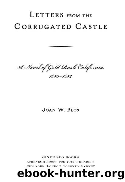 Letters from the Corrugated Castle by Joan W. Blos