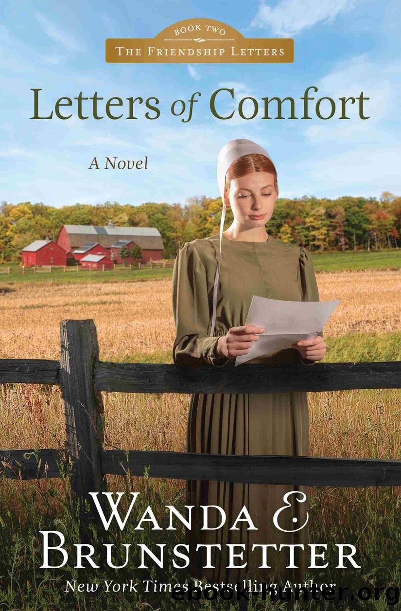 Letters of Comfort by Wanda E. Brunstetter