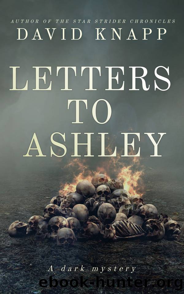 Letters to Ashley by David Knapp