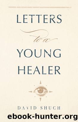 Letters to a Young Healer by David Shuch