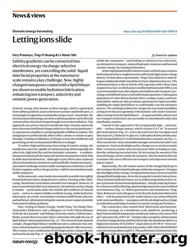 Letting ions slide by Fery Prasetyo & Ting-Yi Huang & Li-Hsien Yeh