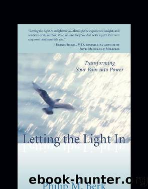 Letting the Light In by Philip M. Berk