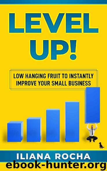 Level Up!: Low Hanging Fruit to Instantly Improve Your Small Business by Iliana Rocha