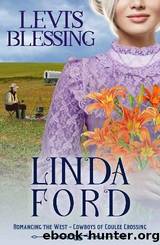 Levi's Blessing by Linda Ford