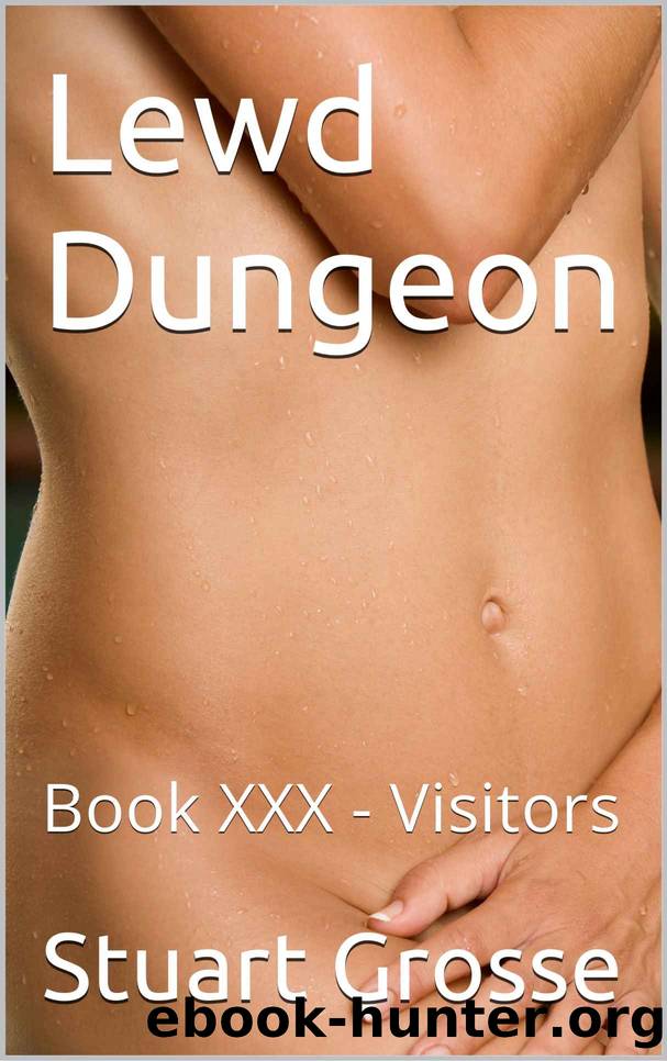 Lewd Dungeon: Book XXX - Visitors by Stuart Grosse