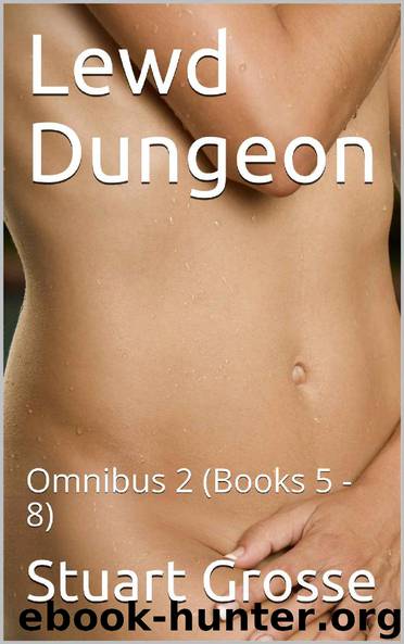 Lewd Dungeon: Omnibus 2 (Books 5 - 8) by Stuart Grosse
