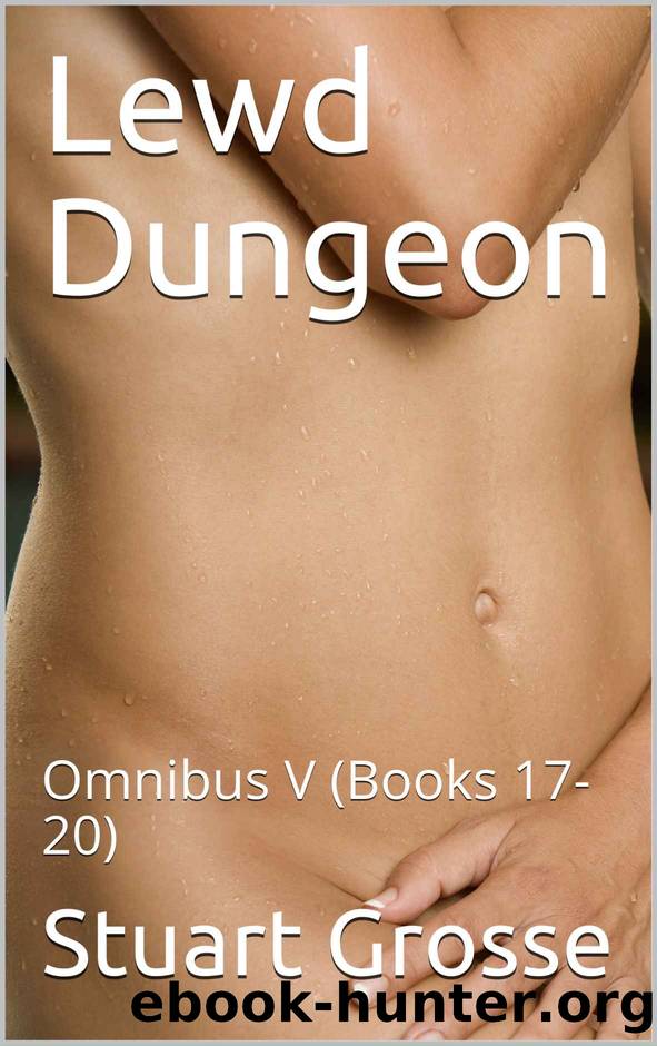 Lewd Dungeon: Omnibus V (Books 17-20) by Stuart Grosse