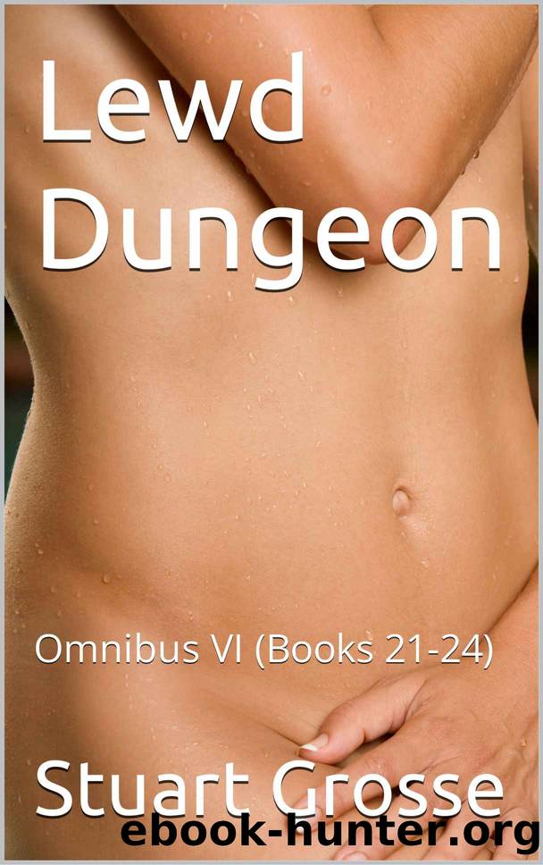 Lewd Dungeon: Omnibus VI (Books 21-24) by Stuart Grosse