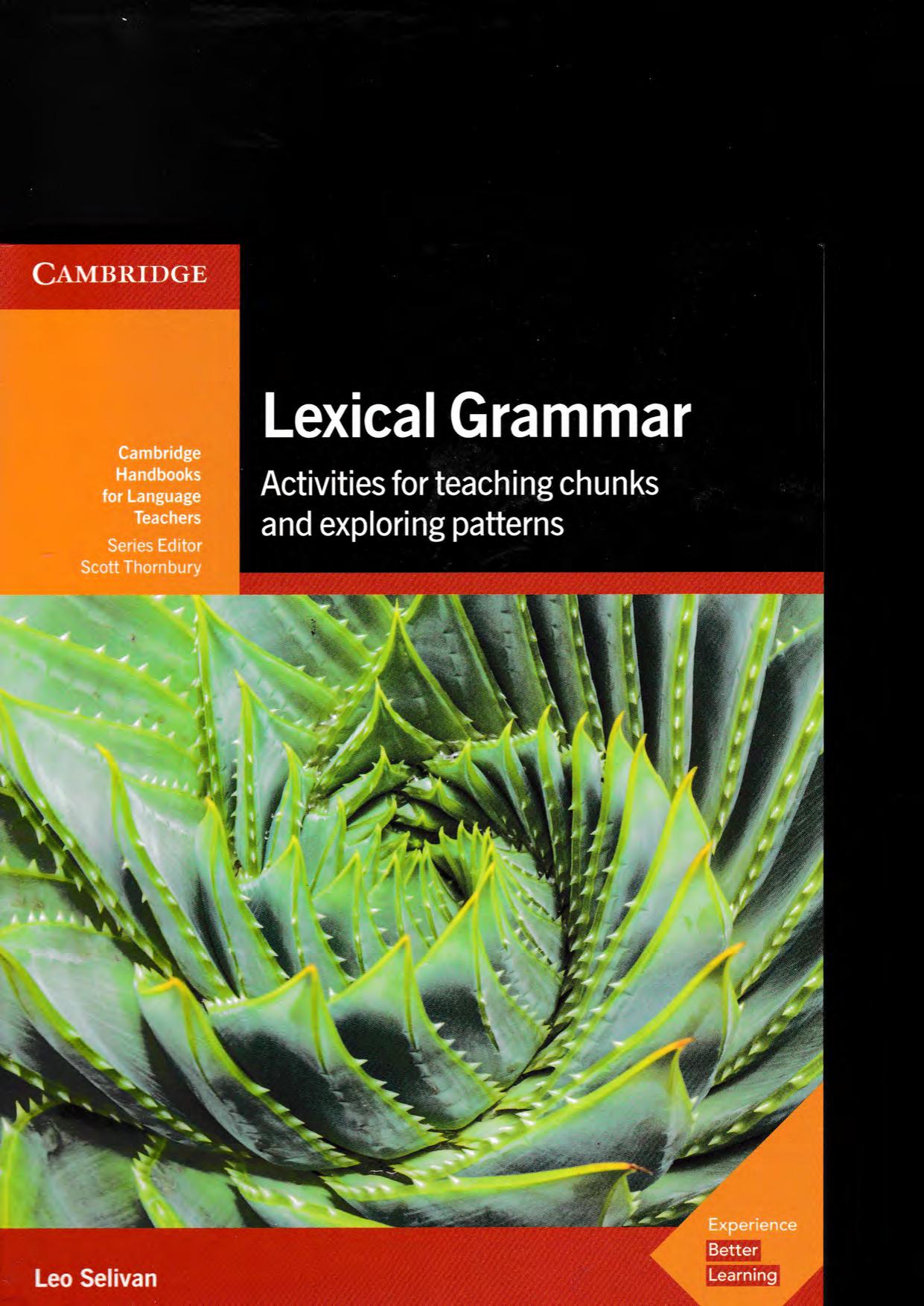 Lexical Grammar: Activities for Teaching Chunks and Exploring Patterns by Leo Selivan