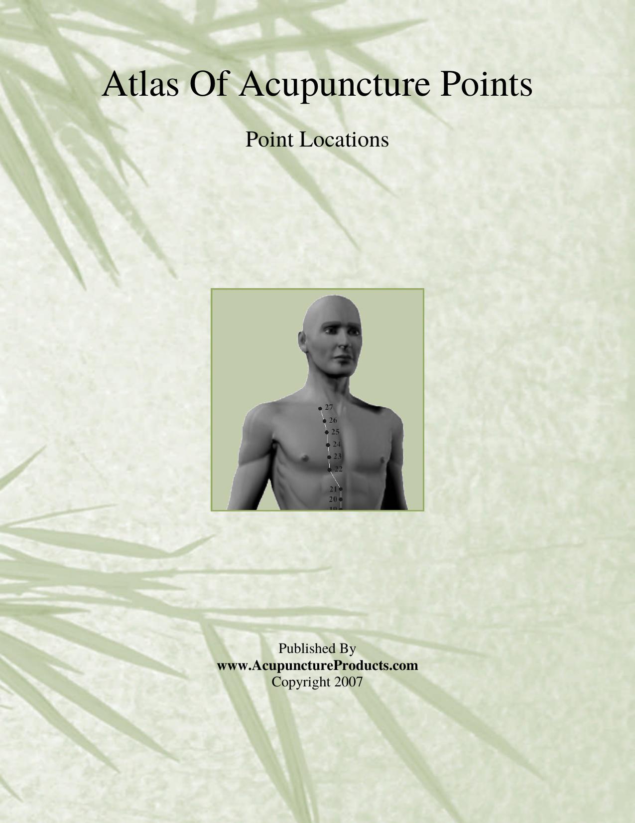 Li Ding by Atlas of acupuncture points (2007)