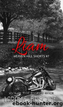 Liam (Heaven Hill Shorts Book 7) by Laramie Briscoe