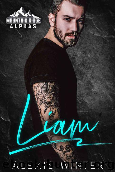 Liam: An Alpha Billionaire Romance by Winter Alexis