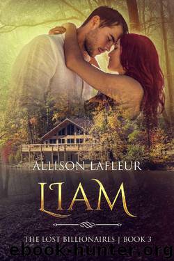Liam: The Lost Billionaires, Book 3 by Allison LaFleur