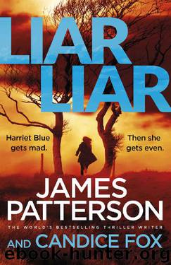 Liar Liar by James Patterson & Candice Fox