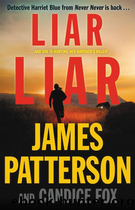 liar by tate james liar by tate james