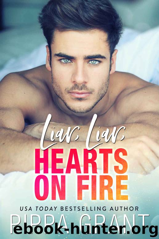 Liar, Liar, Hearts on Fire: Bro Code Book 3 by Grant Pippa