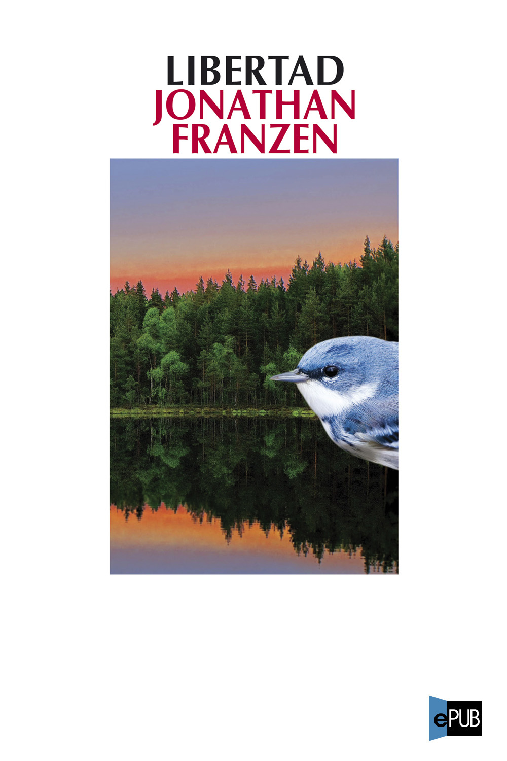 Libertad by Jonathan Franzen