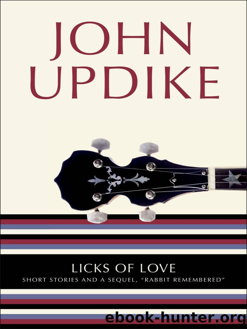 Licks of Love: Short Stories and a Sequel, "Rabbit Remembered by John Updike