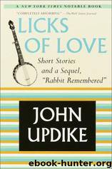 Licks of Love: Short Stories and a Sequel, Rabbit Remembered by John Updike