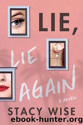Lie, Lie Again: A Novel by Stacy Wise