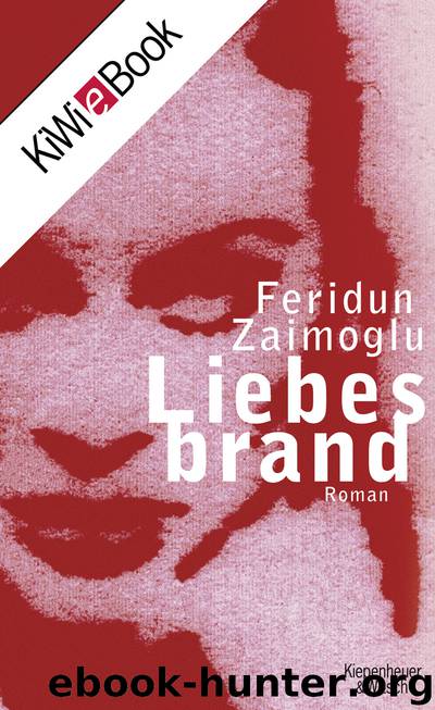 Liebesbrand by Zaimoglu Feridun