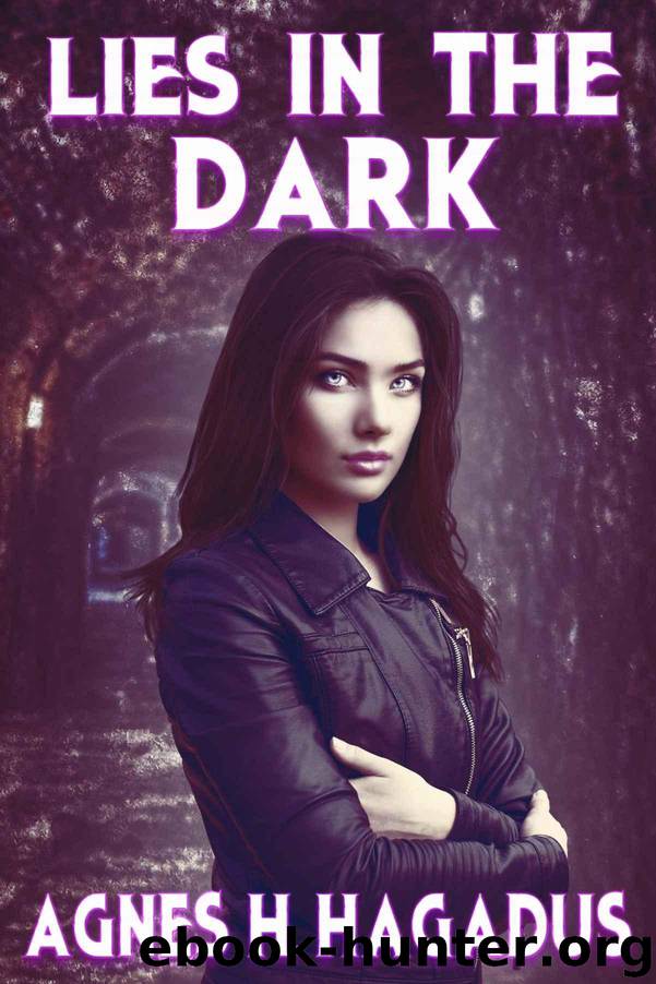 Lies In The Dark (Soulmates Andrea and Alicia Book 1) by Agnes H. Hagadus
