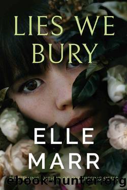 Lies We Bury by Elle Marr