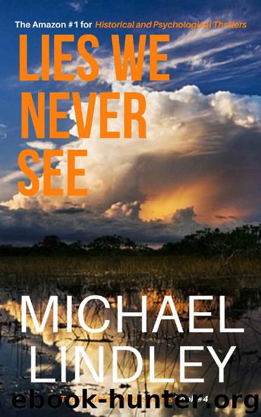 Lies We Never See by Michael Lindley