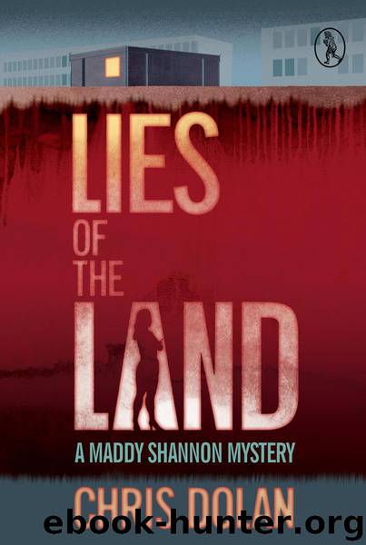 Lies of the Land by Chris Dolan