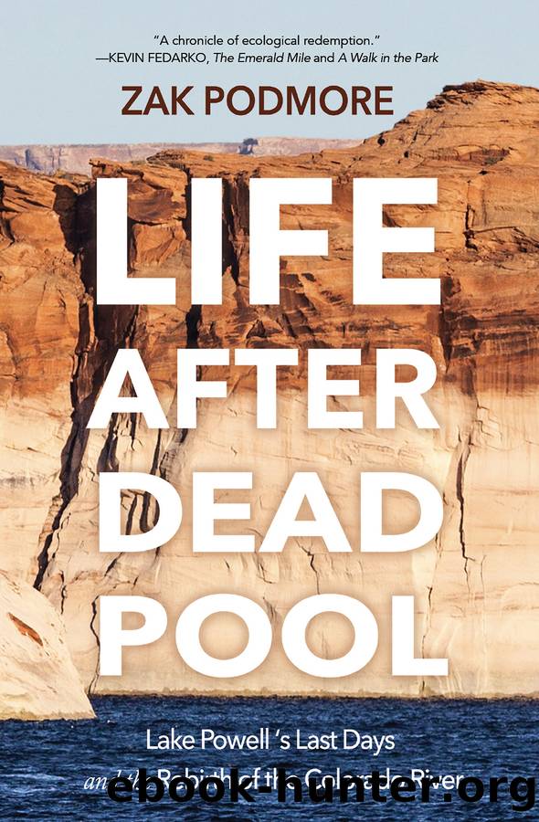 Life After Dead Pool by Zak Podmore