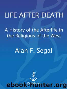 Life After Death by Alan Segal