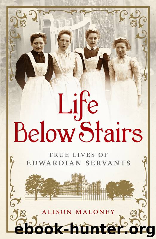 Life Below Stairs by Alison Maloney