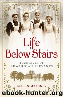 Life Below Stairs: True Lives of Edwardian Servants by Maloney Alison