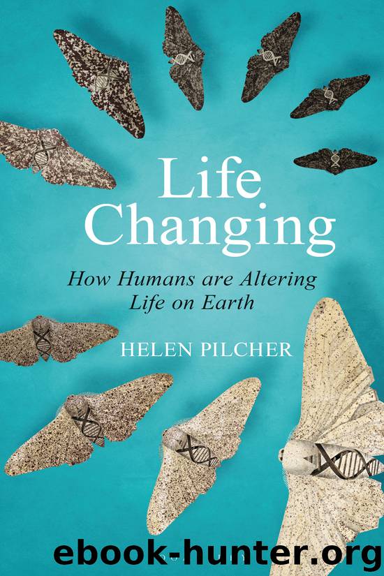 Life Changing by Helen Pilcher