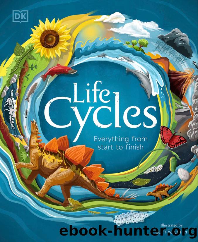 Life Cycles  Everything from Start to Finish-DK Children (2020) by Unknown